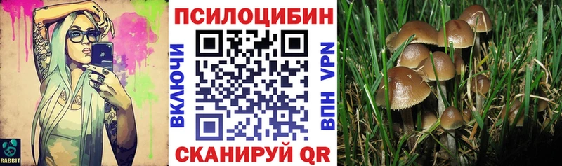 Галлюциногенные грибы Cubensis  дарнет шоп  Белоярский 